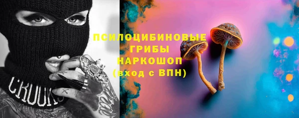 дживик Карпинск