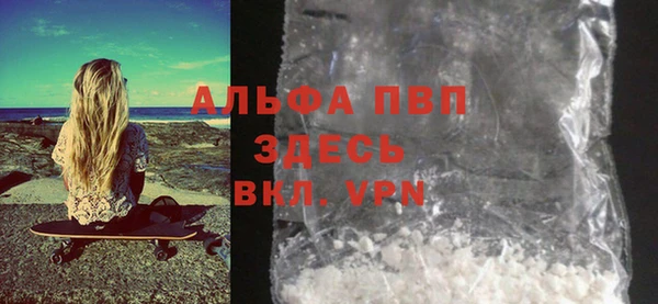 дживик Карпинск