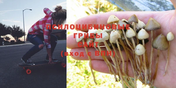 дживик Карпинск