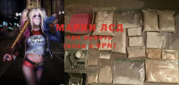 крисы Касимов