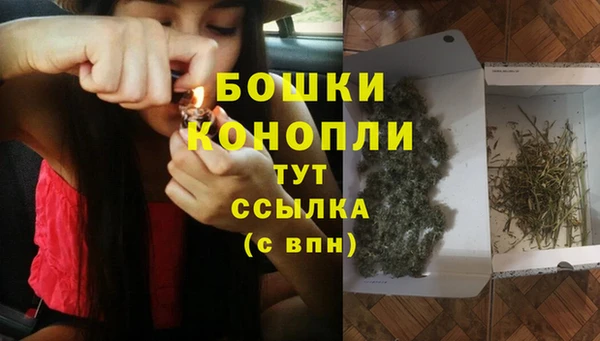 дживик Карпинск