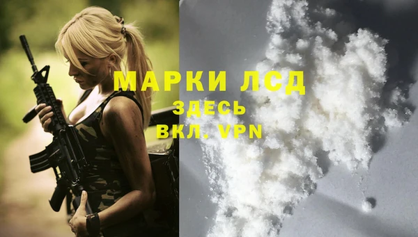 крисы Касимов