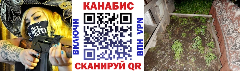 Канабис VHQ Будённовск
