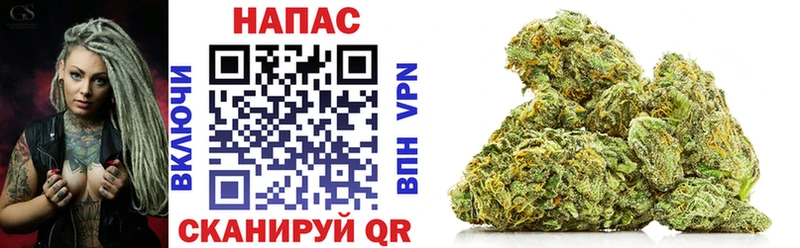 Купить закладки  Будённовск  Конопля OG Kush 
